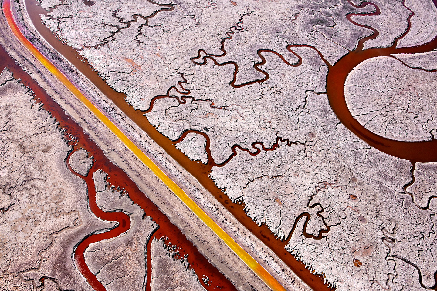 San Francisco Salt Ponds: The Land in Transition