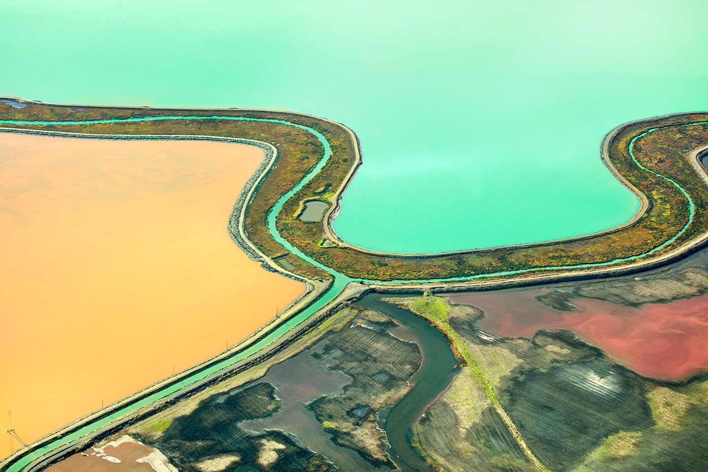 San Francisco Salt Ponds