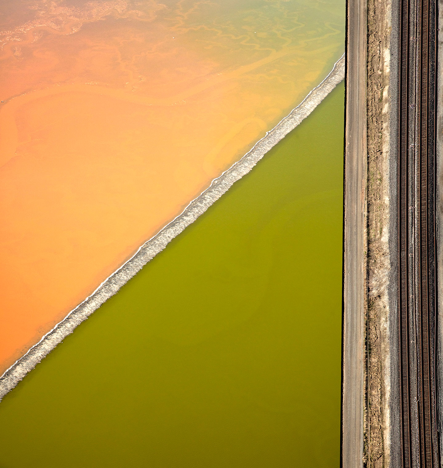 San Francisco Salt Ponds