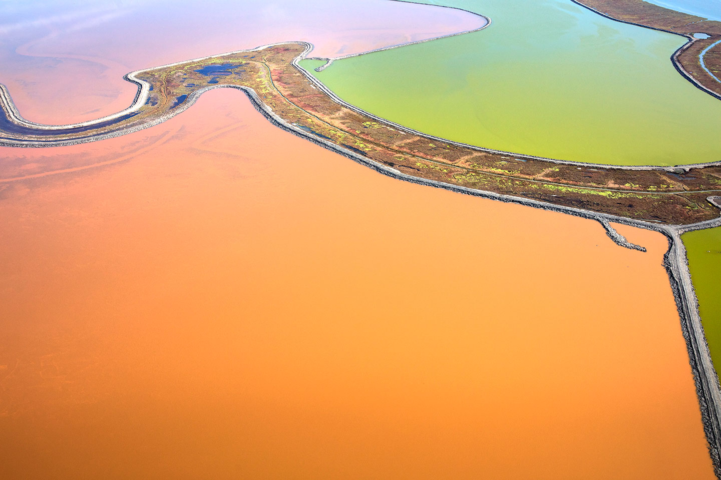 San Francisco Salt Ponds_08