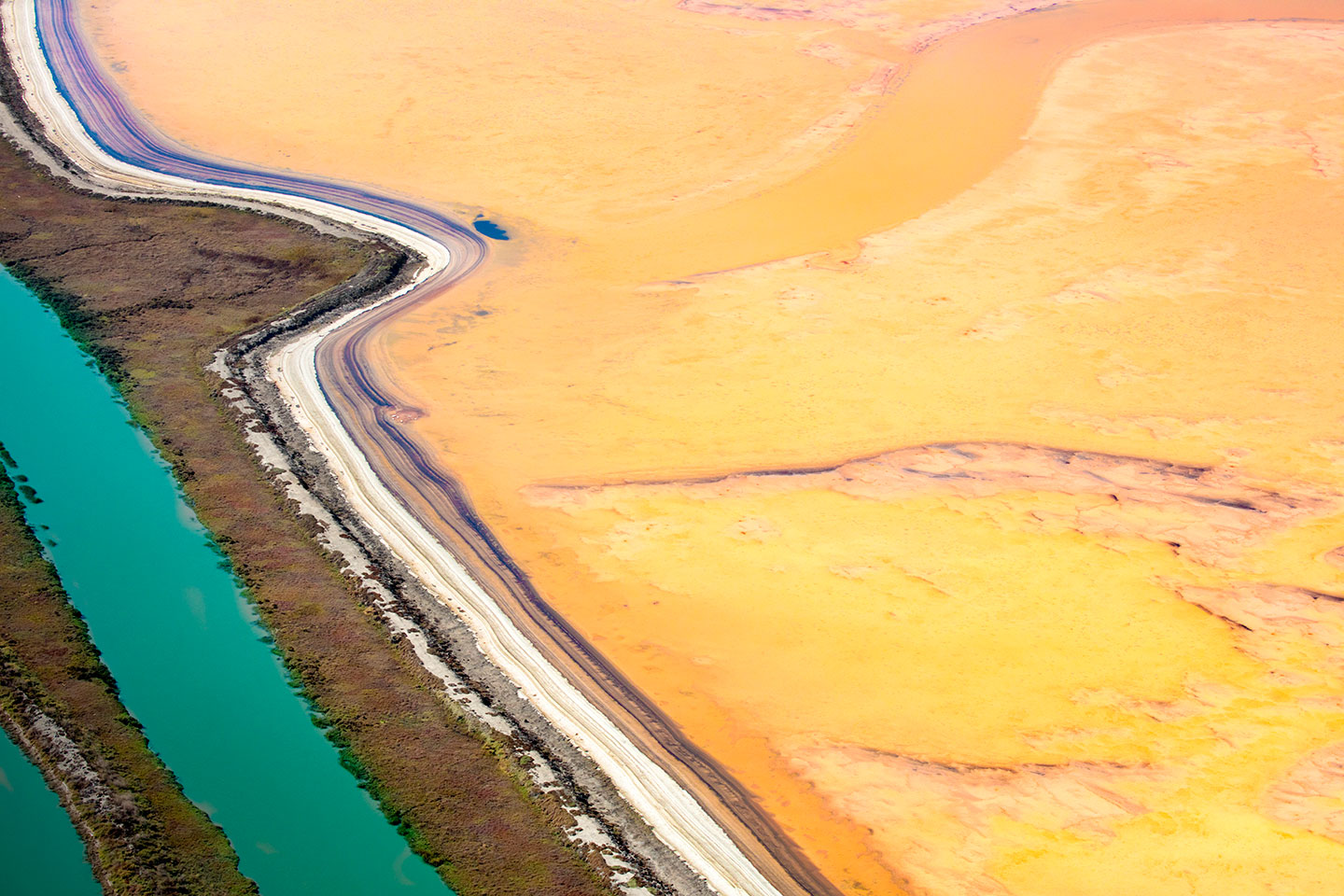 San Francisco Salt Ponds_09