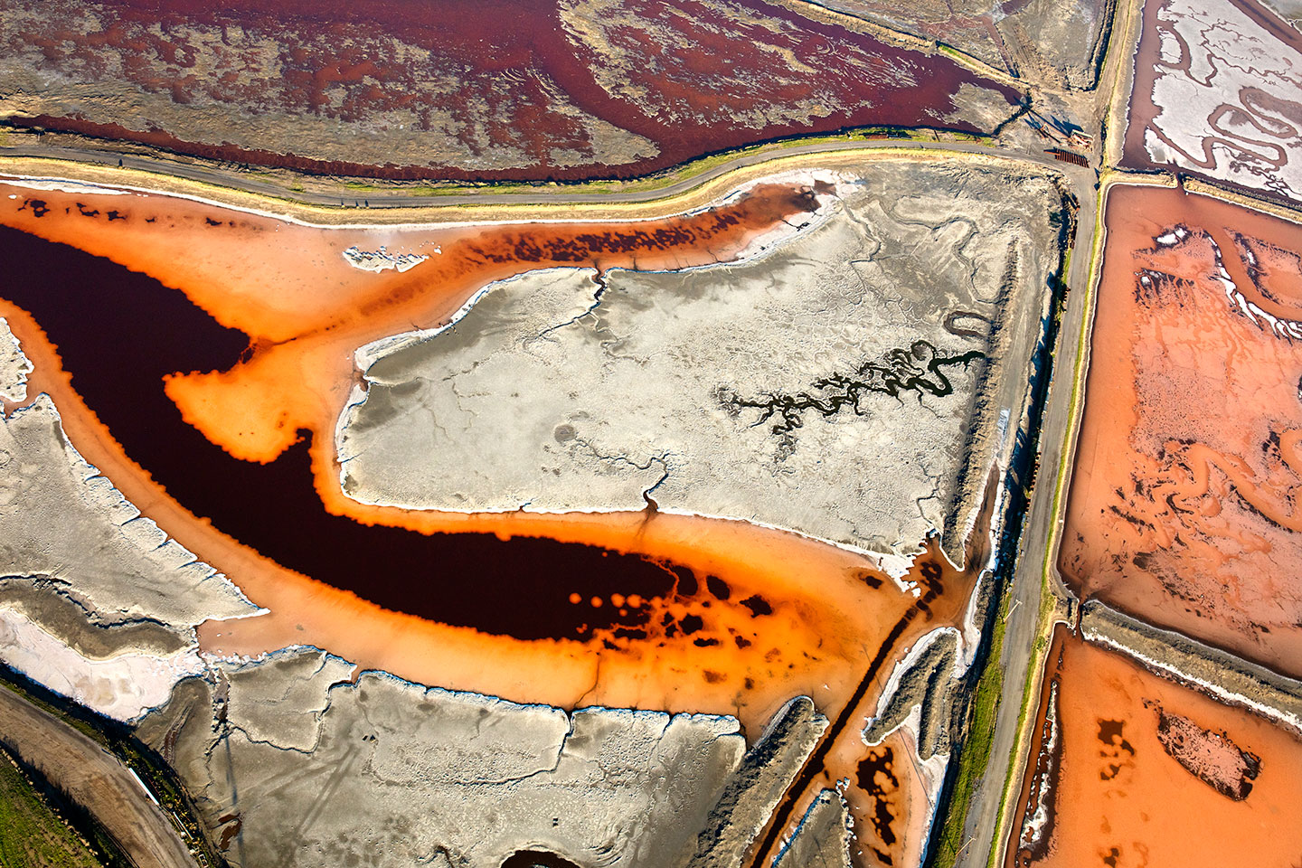 San Francisco Salt Ponds_14