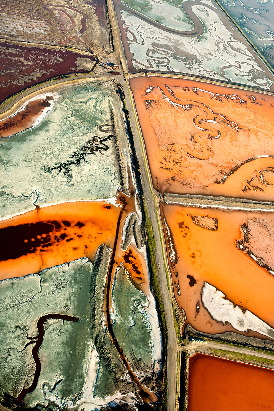 San Francisco Salt Ponds_21