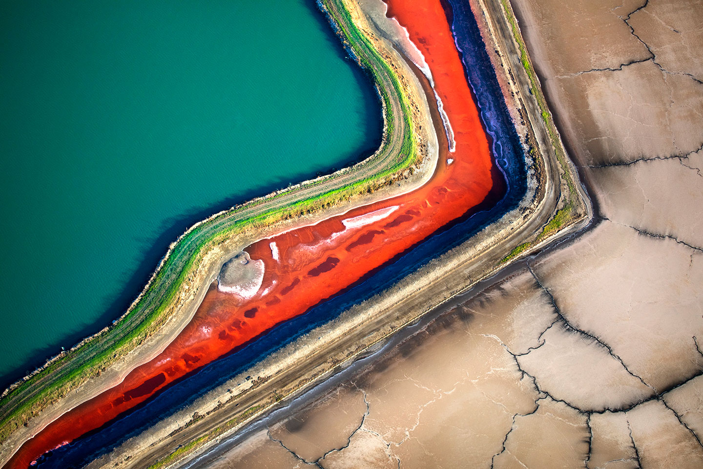 San Francisco Salt Ponds_25