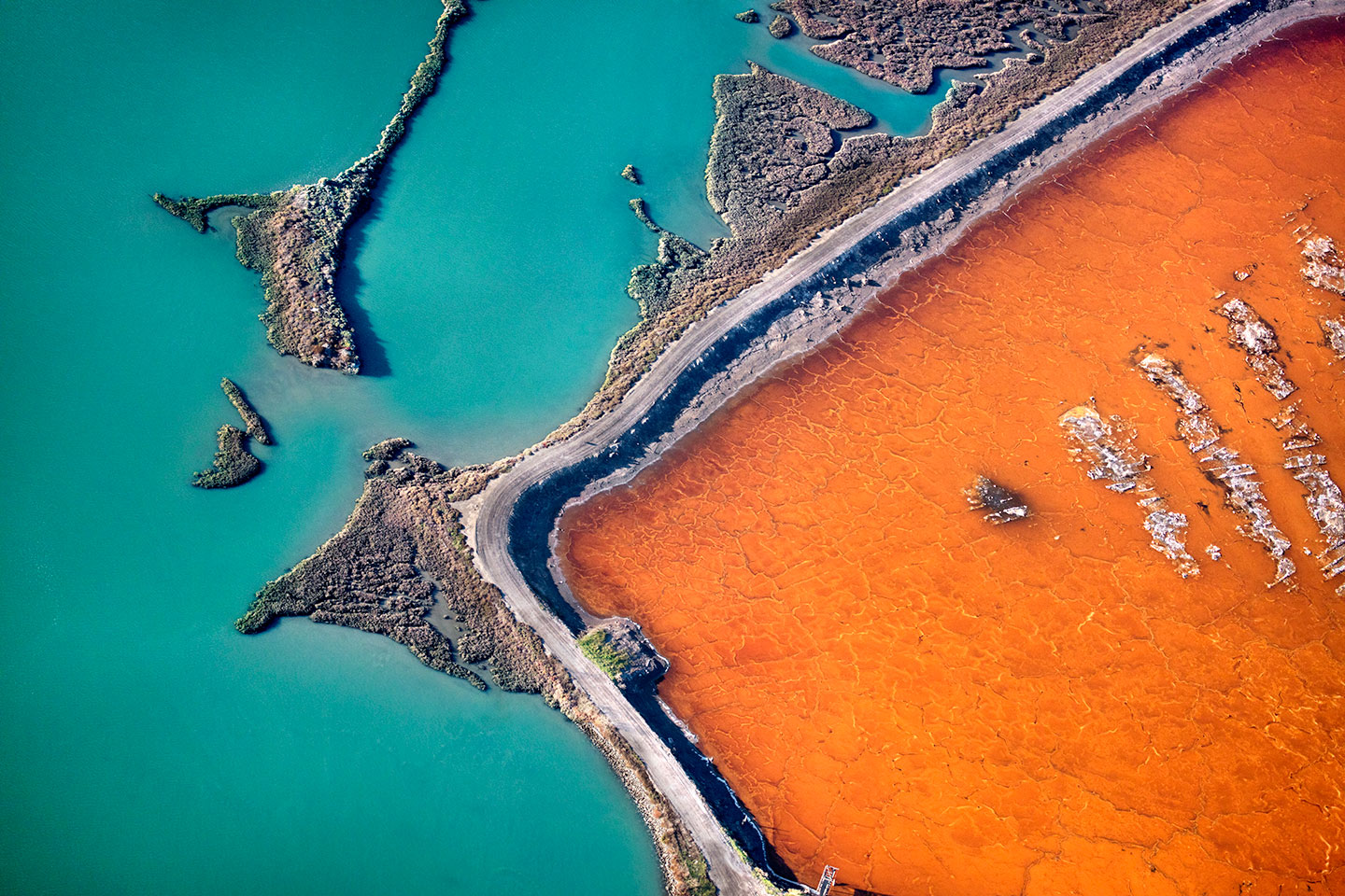San Francisco Salt Ponds_26