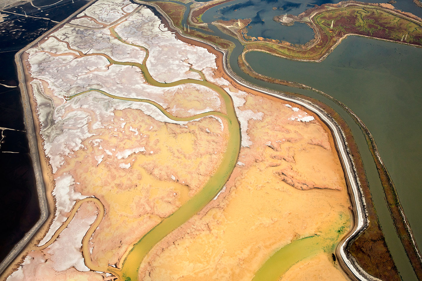 San Francisco Salt Ponds_29