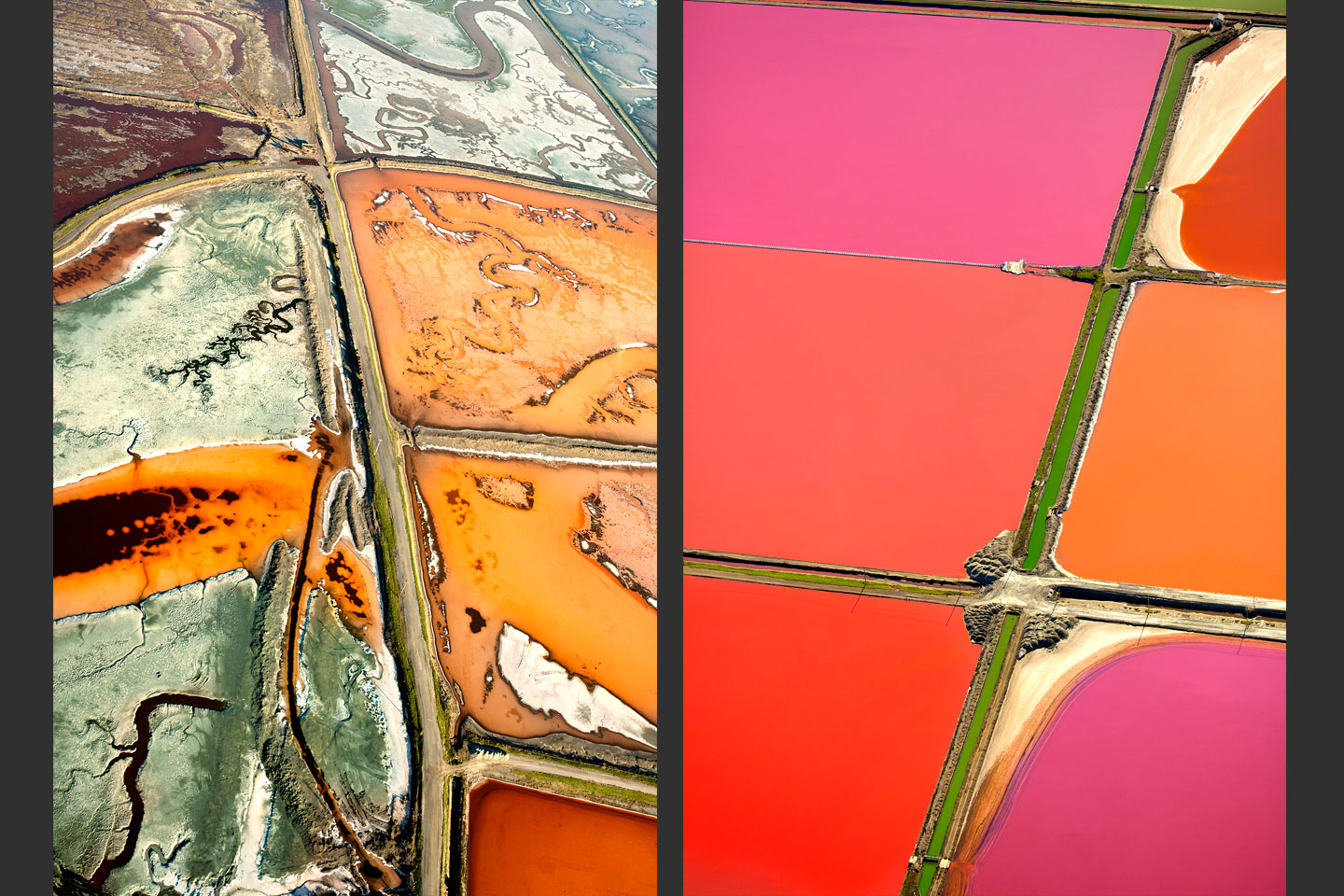 Salt Ponds: The Land in Transition