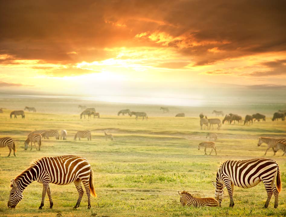 joSon_africa_001b