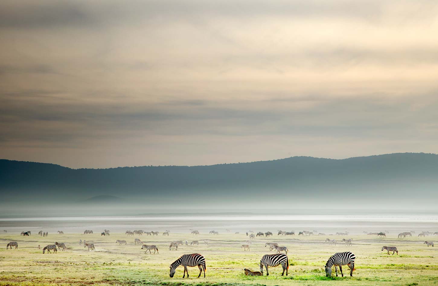 joSon_africa_010
