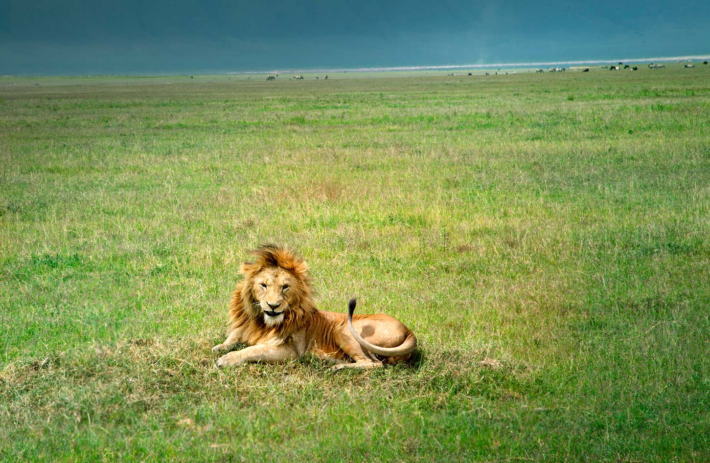 joSon_africa_021